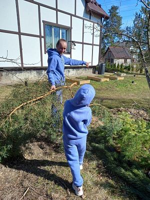 Толстовка с логотипом "Круг Жизни", взрослая 
