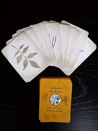 Древотека, настольная игра Круга Жизни